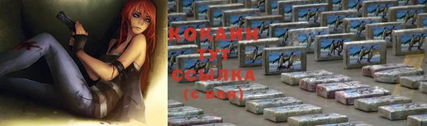 спиды Аркадак