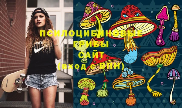 дживик Алексин