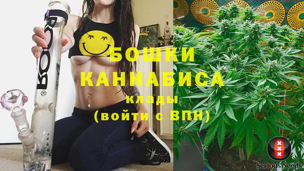 спиды Аркадак